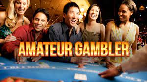 Casinos Offer the Fun of Gambling to the Amateurs
